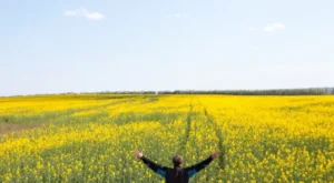 İslam’da Mutluluğun Sırrı: Huzur Veren 3 Altın Kural