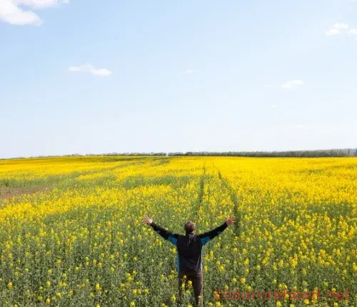 İslam’da Mutluluğun Sırrı: Huzur Veren 3 Altın Kural