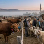 Kurbanlık Hayvanlarda Aranan Şartlar: A’dan Z’ye Kurban İbadeti